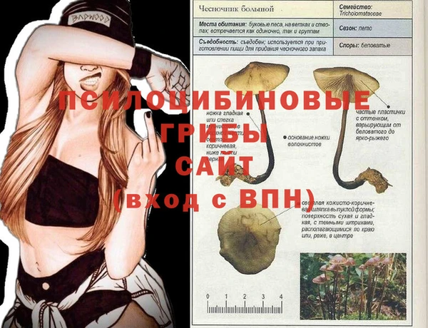 хмурый Володарск