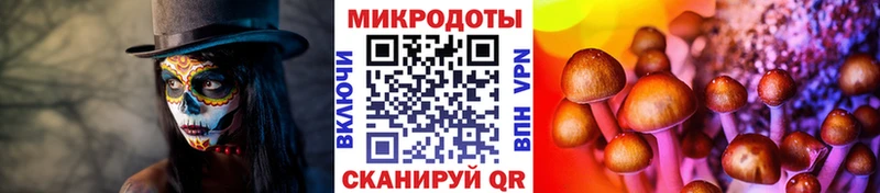 Псилоцибиновые грибы Magic Shrooms  Камышлов 