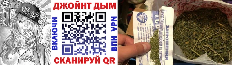 Конопля сатива  Камышлов 